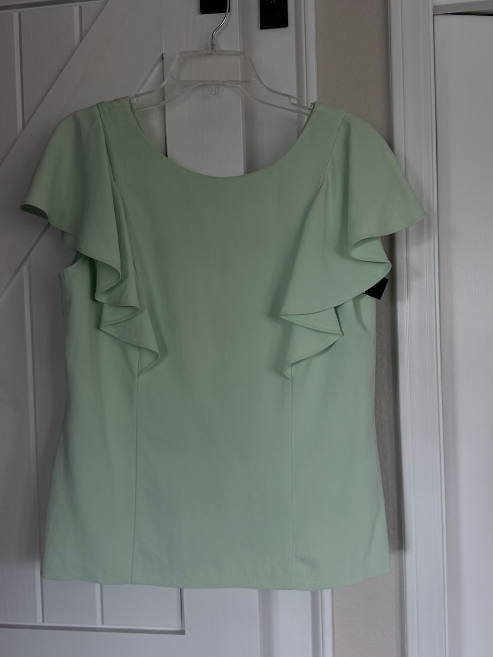 Banana Republic Pale Mint Ruffle Sleeve Top